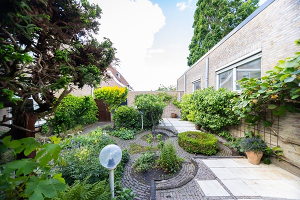 Tuin 2.jpg